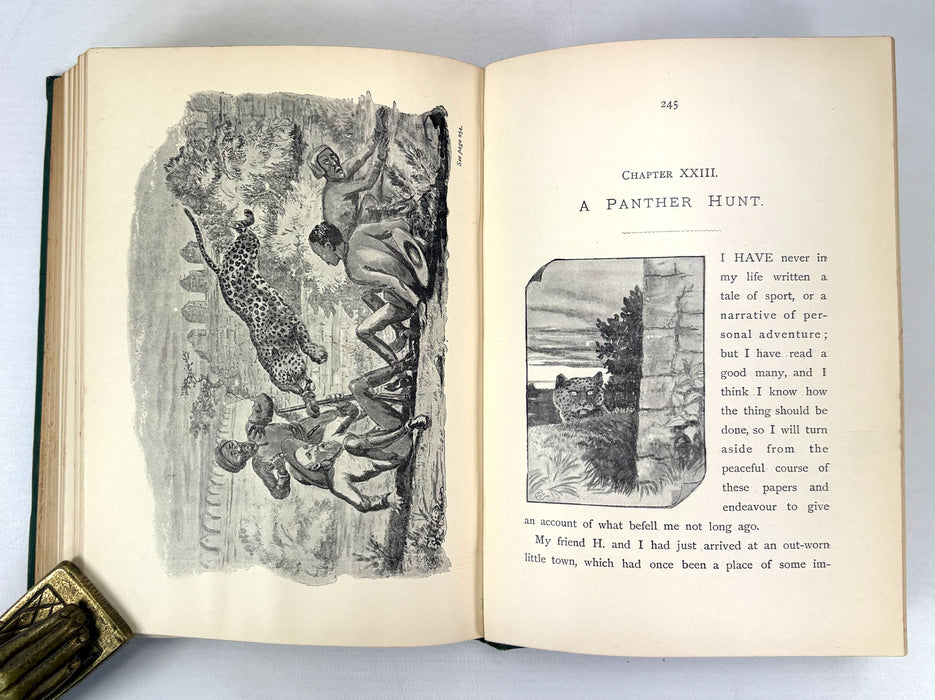 A Naturalist on the Prowl or In the Jungle, by EHA, 1897