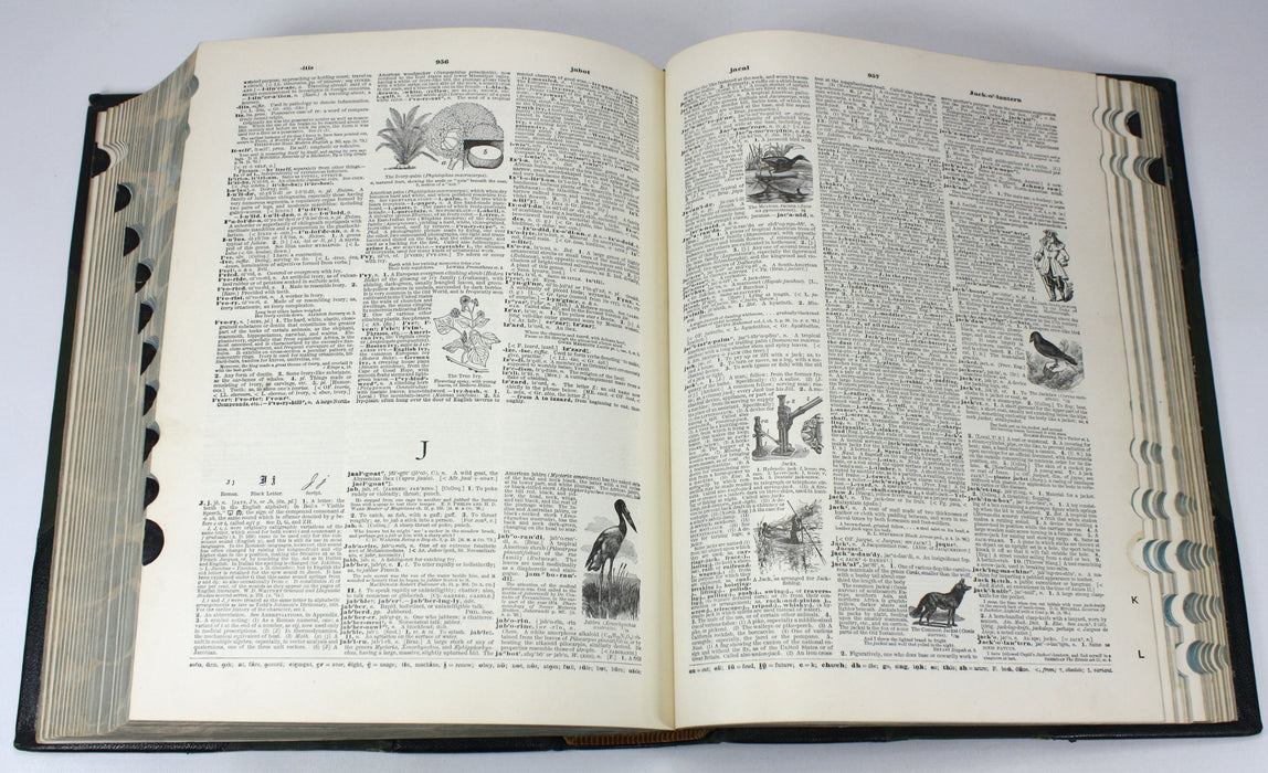 A Standard Dictionary of the English Language, Funk & Wagnalls, 1907