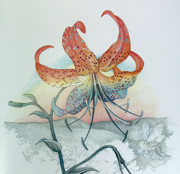 Acts of Light, Emily Dickinson, New York Graphic Society, Signed, numbered deluxe limited edition, 1980