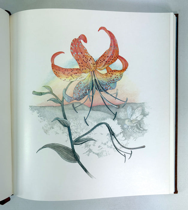 Acts of Light, Emily Dickinson, New York Graphic Society, Signed, numbered deluxe limited edition, 1980