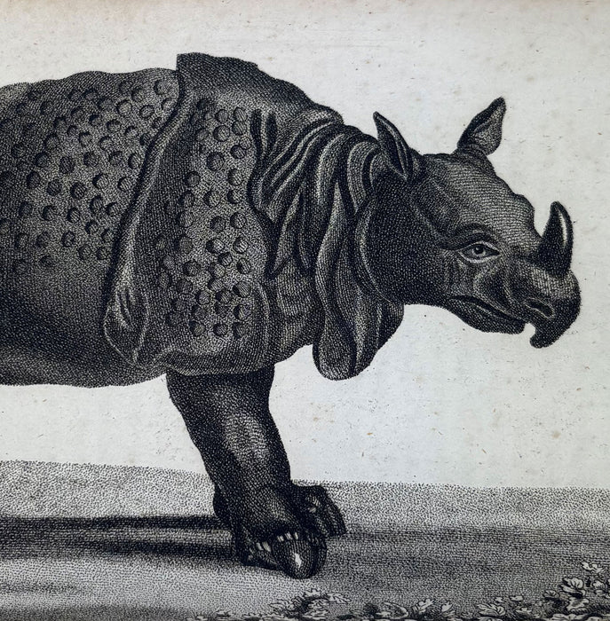 Animal Biography or Popular Zoology, comprising Authentic Anecdotes of the Economy, Habits of Life, Instincts, and Sagacity, of the Animal Creation, Rev. W. Bingley, 1813