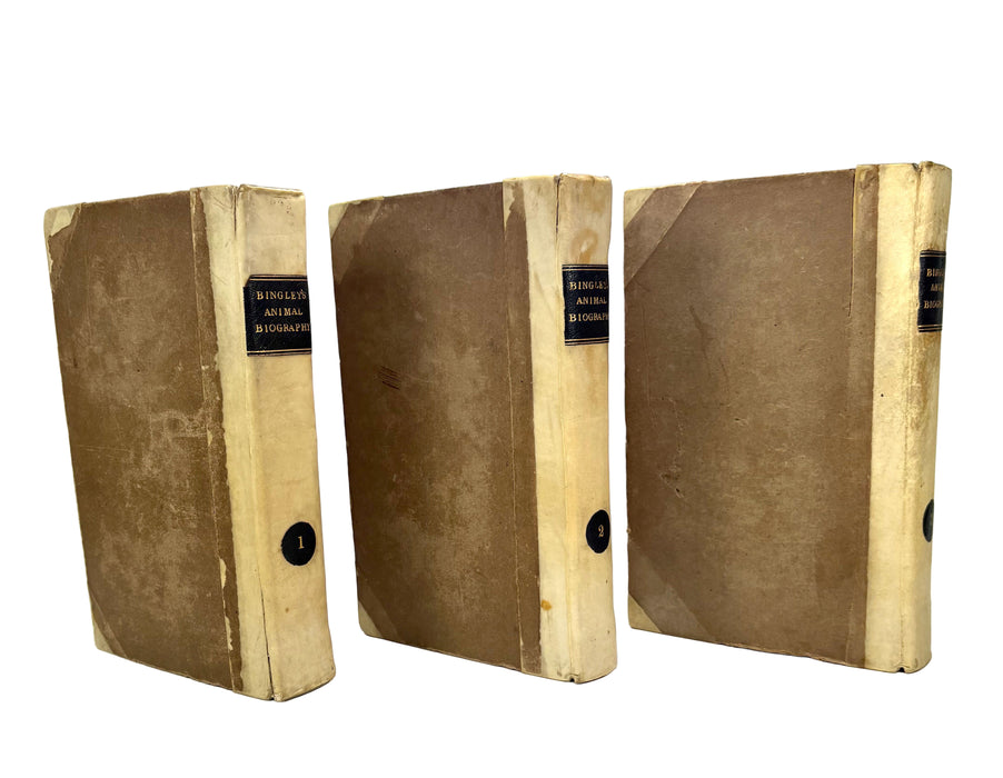 Animal Biography or Popular Zoology, comprising Authentic Anecdotes of the Economy, Habits of Life, Instincts, and Sagacity, of the Animal Creation, Rev. W. Bingley, 1813