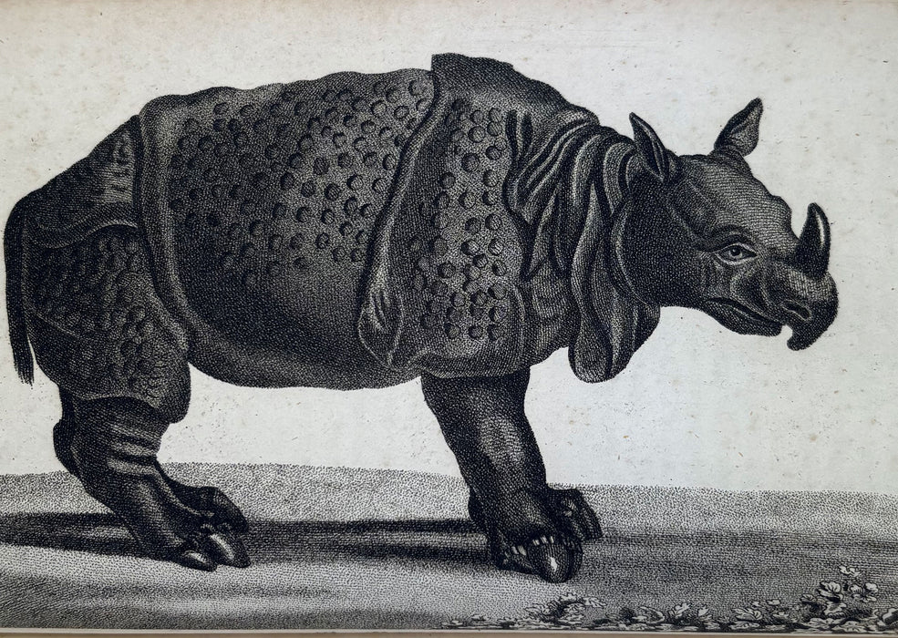 Animal Biography or Popular Zoology, comprising Authentic Anecdotes of the Economy, Habits of Life, Instincts, and Sagacity, of the Animal Creation, Rev. W. Bingley, 1813