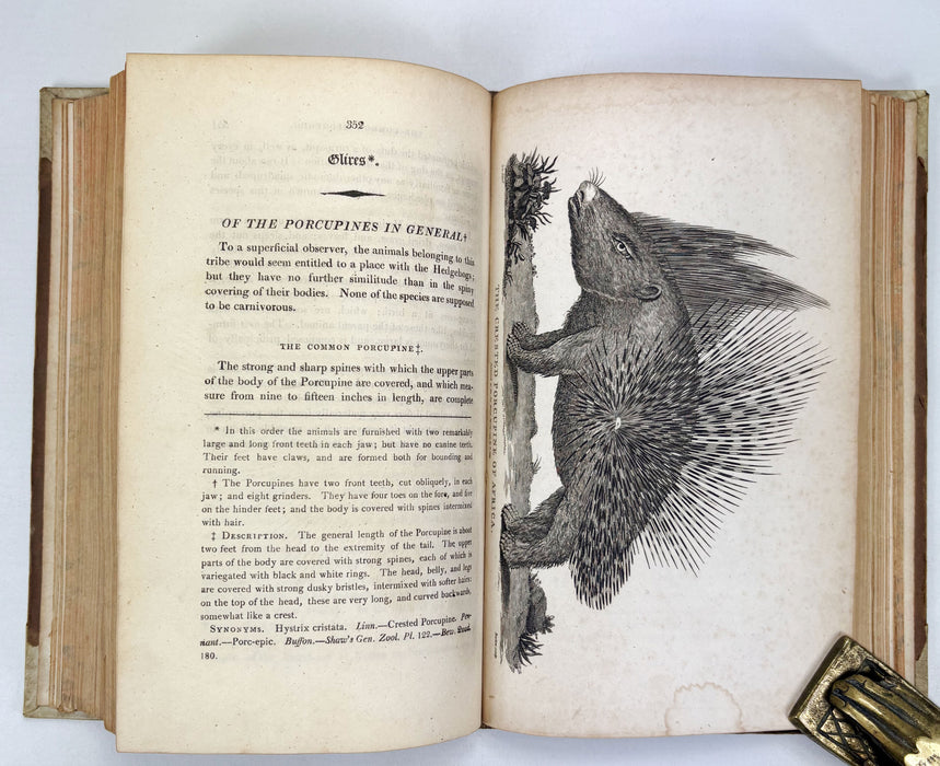 Animal Biography or Popular Zoology, comprising Authentic Anecdotes of the Economy, Habits of Life, Instincts, and Sagacity, of the Animal Creation, Rev. W. Bingley, 1813