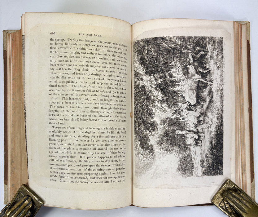 Animal Biography or Popular Zoology, comprising Authentic Anecdotes of the Economy, Habits of Life, Instincts, and Sagacity, of the Animal Creation, Rev. W. Bingley, 1813