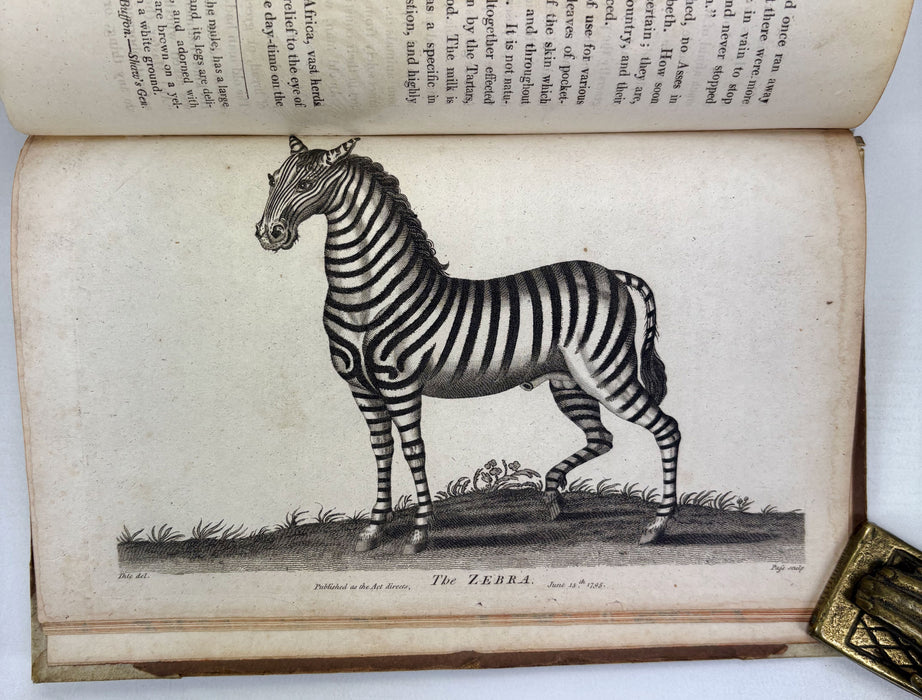 Animal Biography or Popular Zoology, comprising Authentic Anecdotes of the Economy, Habits of Life, Instincts, and Sagacity, of the Animal Creation, Rev. W. Bingley, 1813