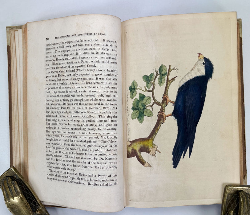 Animal Biography or Popular Zoology, comprising Authentic Anecdotes of the Economy, Habits of Life, Instincts, and Sagacity, of the Animal Creation, Rev. W. Bingley, 1813