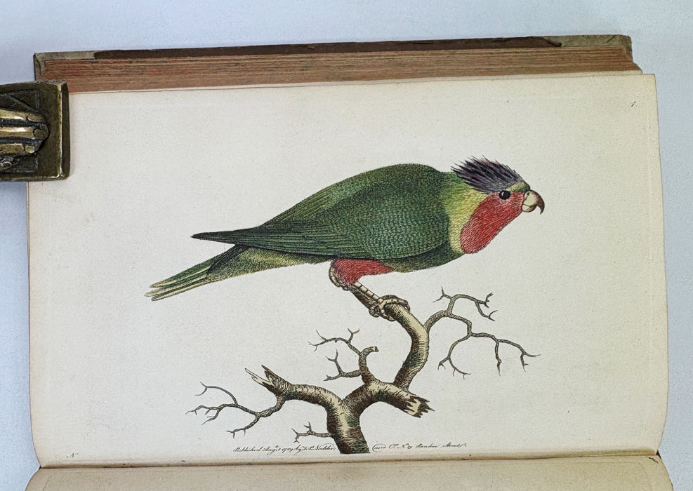 Animal Biography or Popular Zoology, comprising Authentic Anecdotes of the Economy, Habits of Life, Instincts, and Sagacity, of the Animal Creation, Rev. W. Bingley, 1813