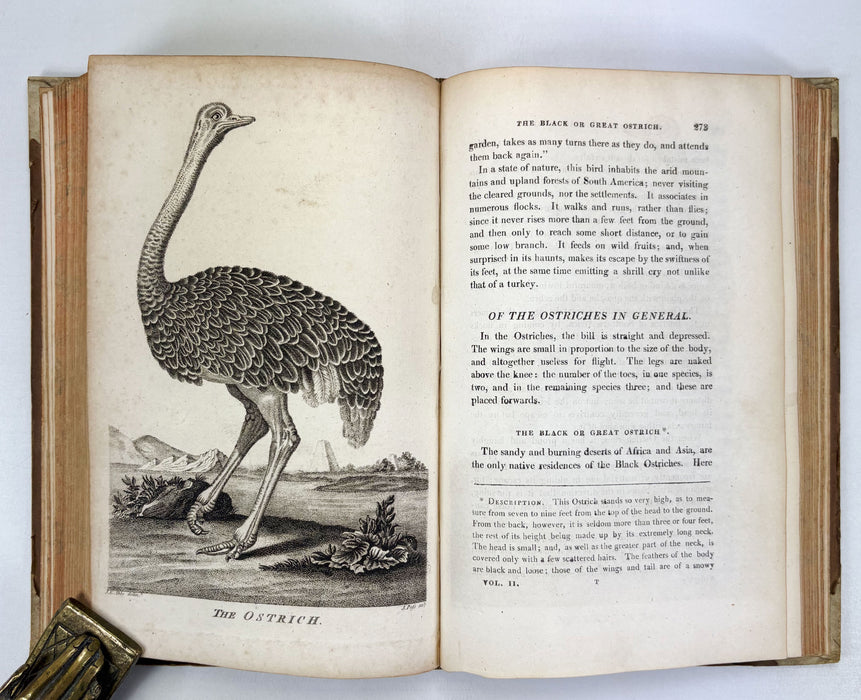 Animal Biography or Popular Zoology, comprising Authentic Anecdotes of the Economy, Habits of Life, Instincts, and Sagacity, of the Animal Creation, Rev. W. Bingley, 1813
