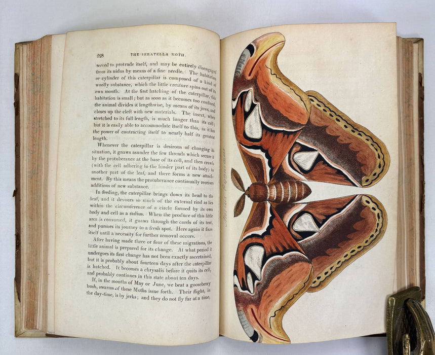 Animal Biography or Popular Zoology, comprising Authentic Anecdotes of the Economy, Habits of Life, Instincts, and Sagacity, of the Animal Creation, Rev. W. Bingley, 1813