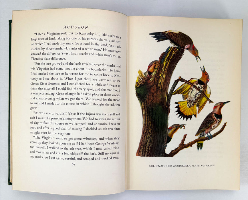 Audubon by Constance Rourke, With 12 colored plates from original Audubon prints, 1936 first edition
