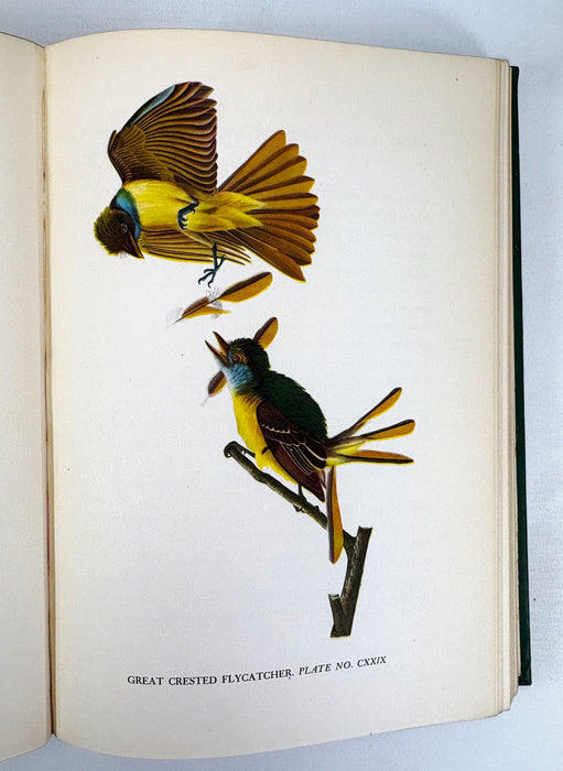 Audubon by Constance Rourke, With 12 colored plates from original Audubon prints, 1936 first edition