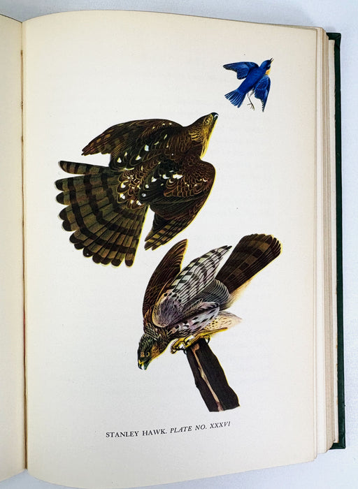 Audubon by Constance Rourke, With 12 colored plates from original Audubon prints, 1936 first edition