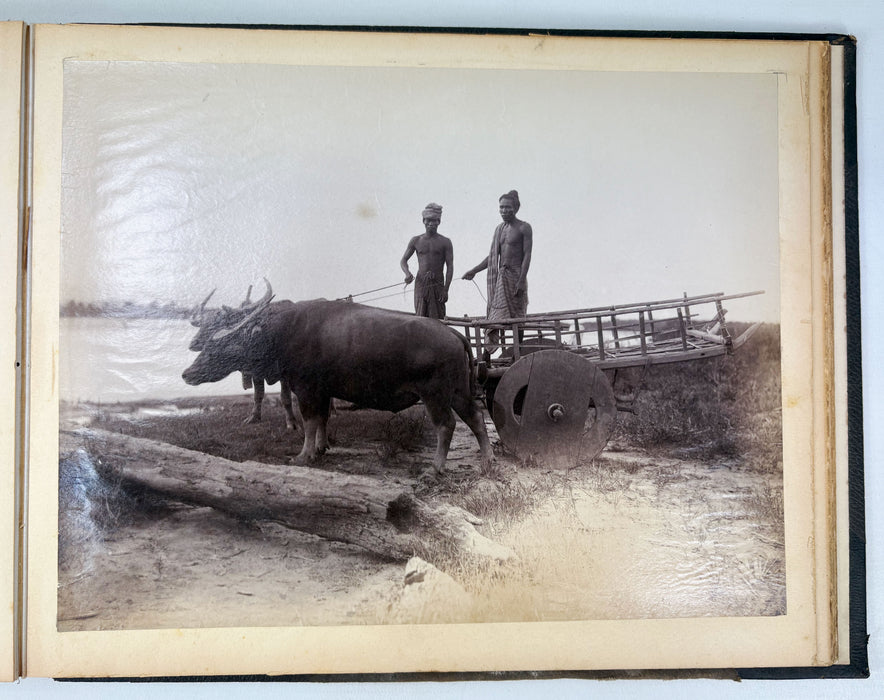 Photographic Album of Egypt and Burma, c. 1898 – With Albumen Prints of the Nile, Pyramids, Rangoon Colonial Architecture and Burmese Rural Life.