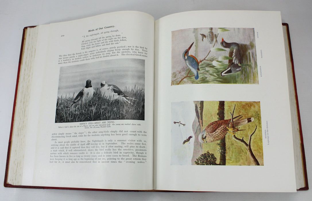 Birds of Our Country, Frank Finn & E. Kay Robinson, 2 Volume Set
