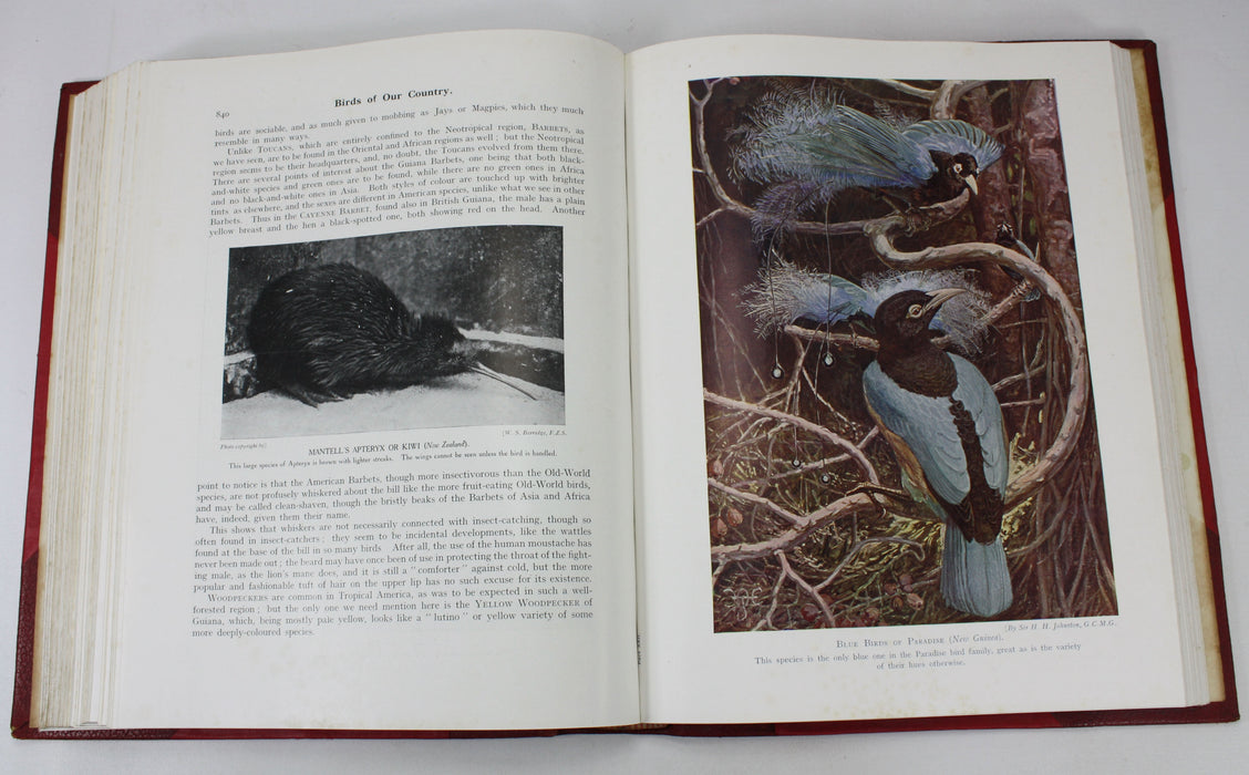 Birds of Our Country, Frank Finn & E. Kay Robinson, 2 Volume Set