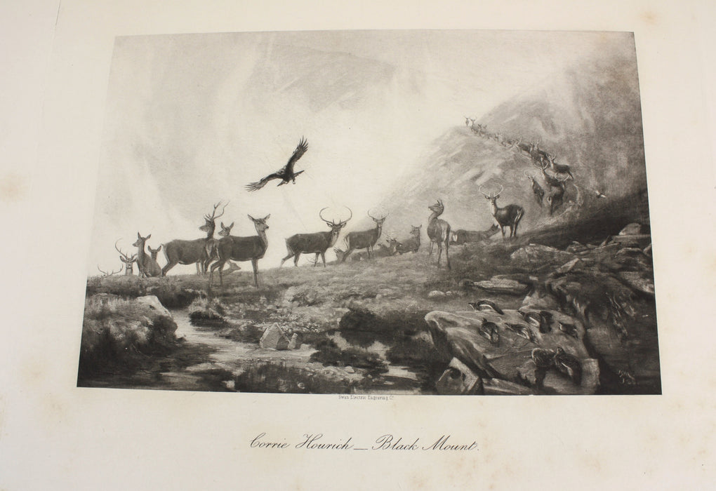 British Deer and Their Horns, John Guille Millais, 1897