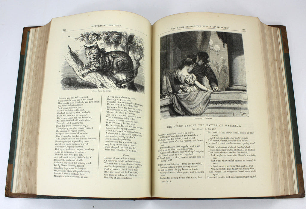 Cassell's Illustrated Readings, First and Second Series bound as one, c. 1870