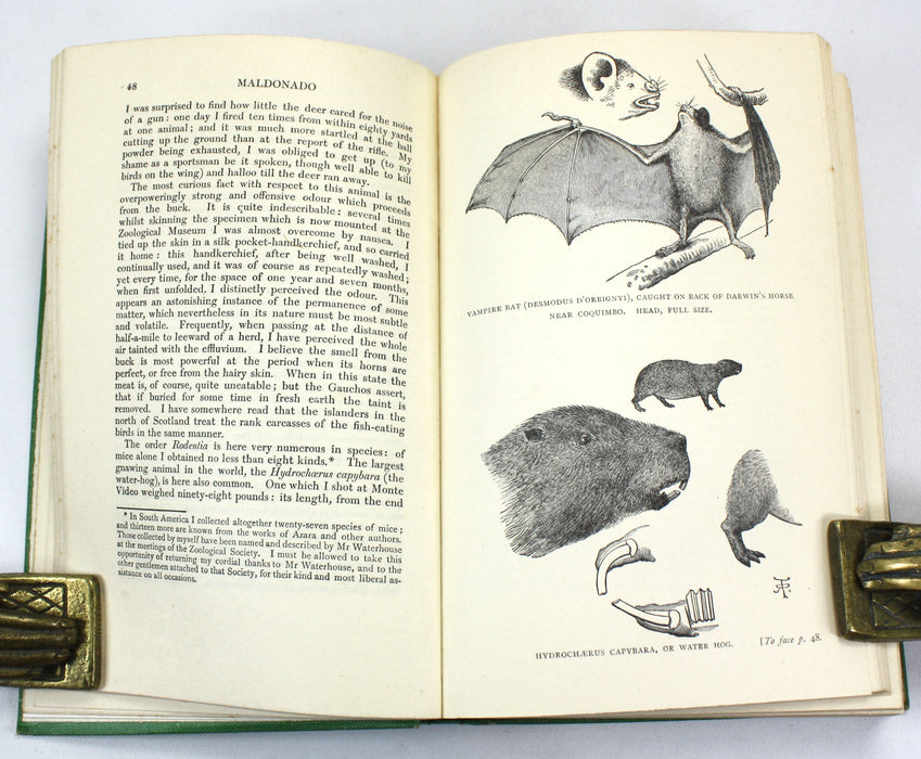 Charles Darwin; Journal of Researches Into the Natural History and Geology of the Countries Visited During the Voyage Round the World of H.M.S. 'Beagle' Under Command of Captain Fitz Roy, R.N., John Murray, 1928