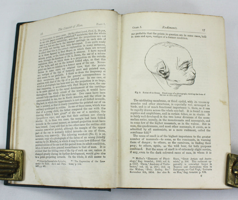 Charles Darwin; The Descent of Man and Selection in Relation to Sex, John Murray, 1899, Second edition, Thirty-Fifth Thousand