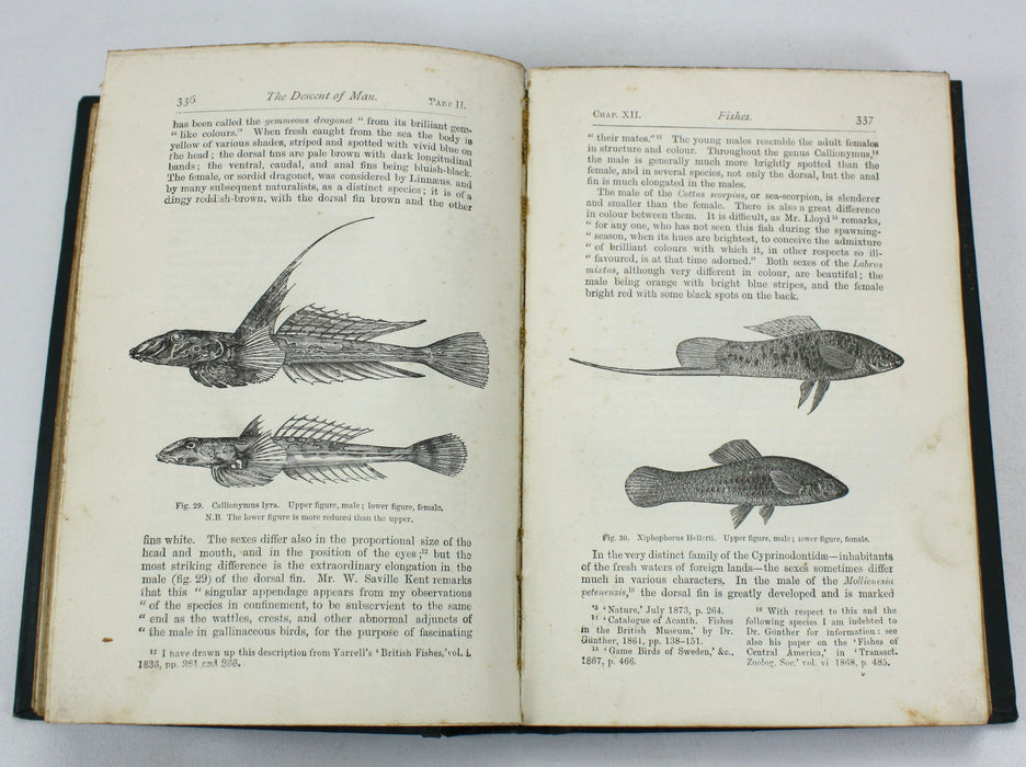 Charles Darwin; The Descent of Man and Selection in Relation to Sex, John Murray, 1899, Second edition, Thirty-Fifth Thousand