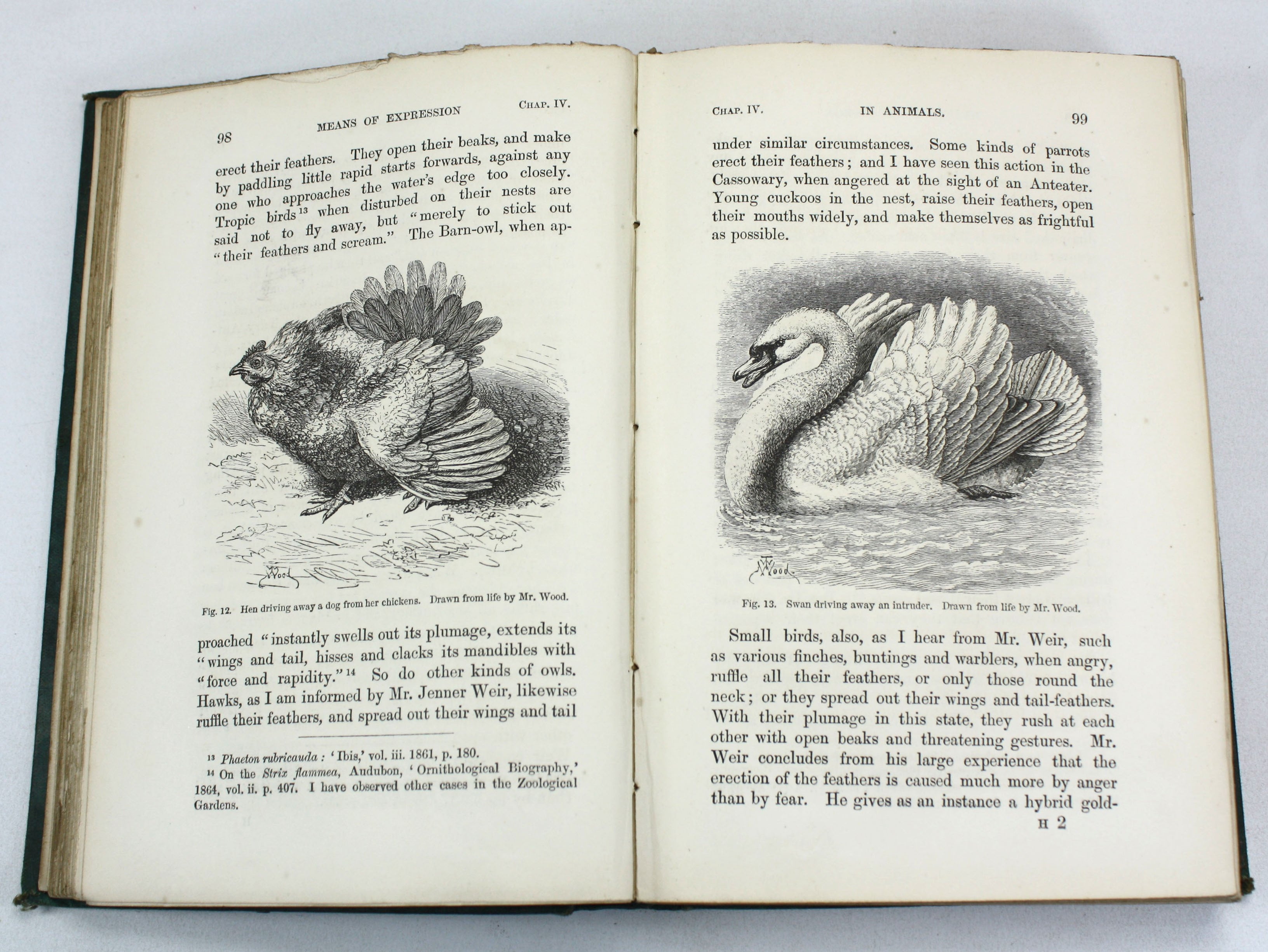 Charles Darwin; The Expression of the Emotions in Man and Animals, Joh ...