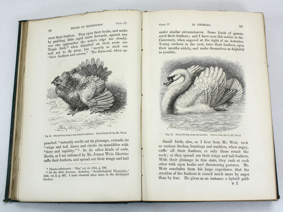 Charles Darwin; The Expression of the Emotions in Man and Animals, John Murray, 1872, First edition, second issue