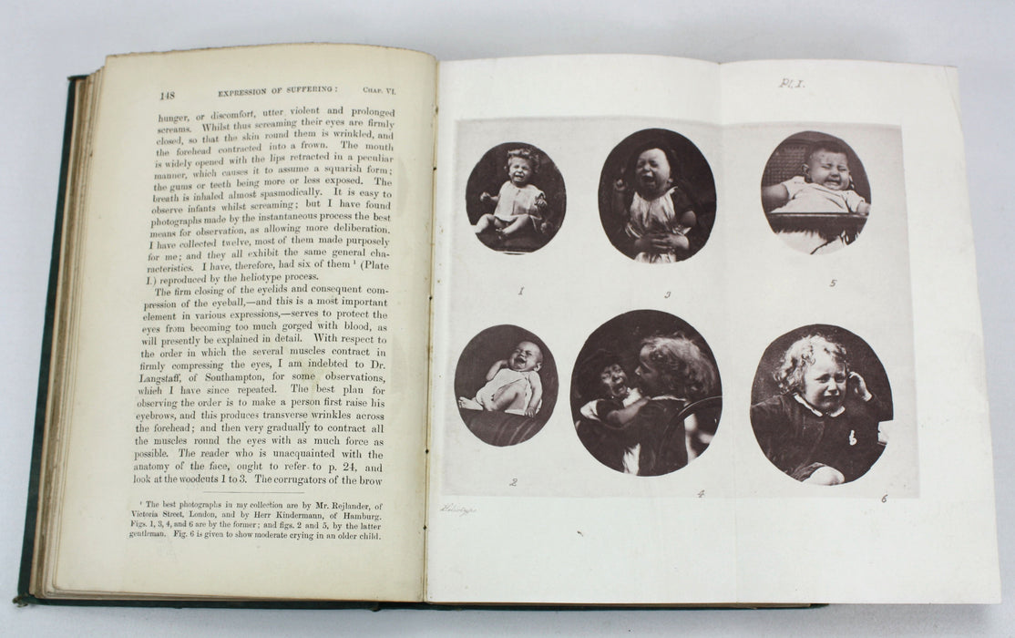 Charles Darwin; The Expression of the Emotions in Man and Animals, John Murray, 1872, First edition, second issue