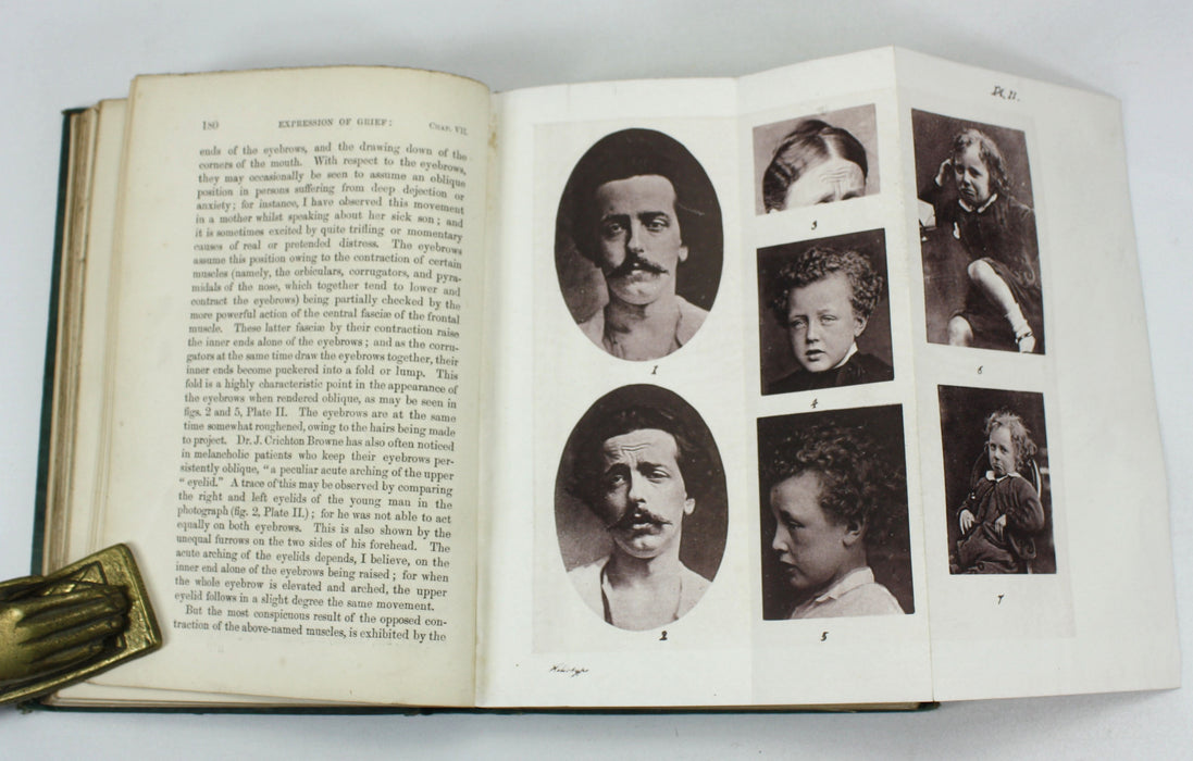 Charles Darwin; The Expression of the Emotions in Man and Animals, John Murray, 1872, First edition, second issue