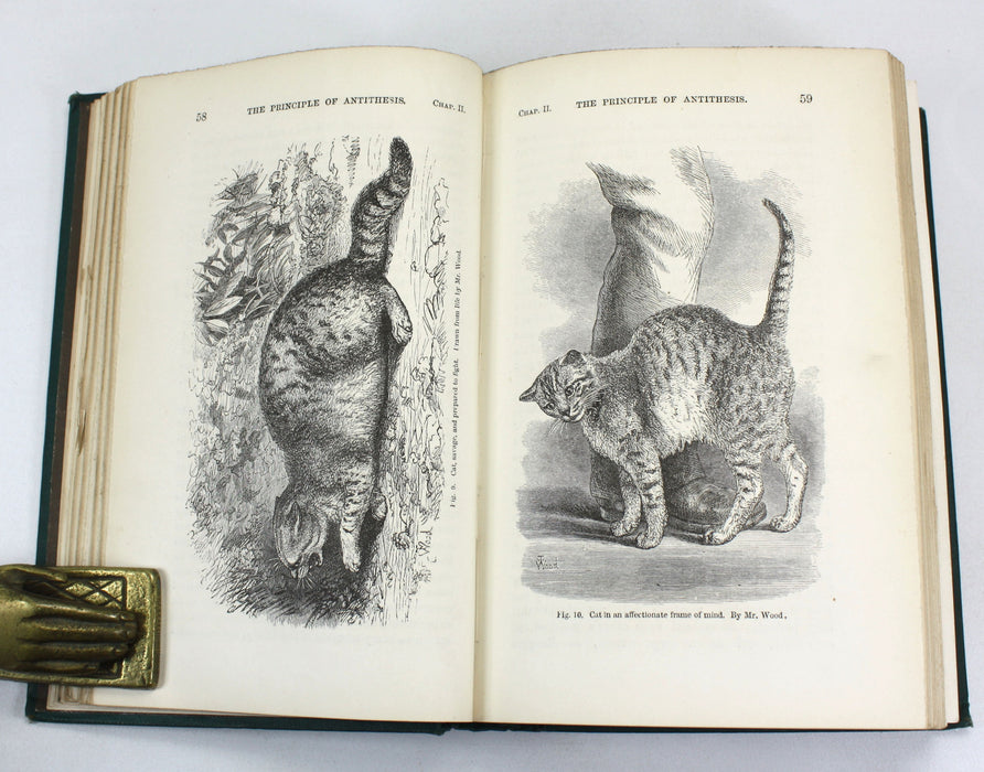 Charles Darwin; The Expression of the Emotions in Man and Animals, John Murray, 1873, Tenth Thousand