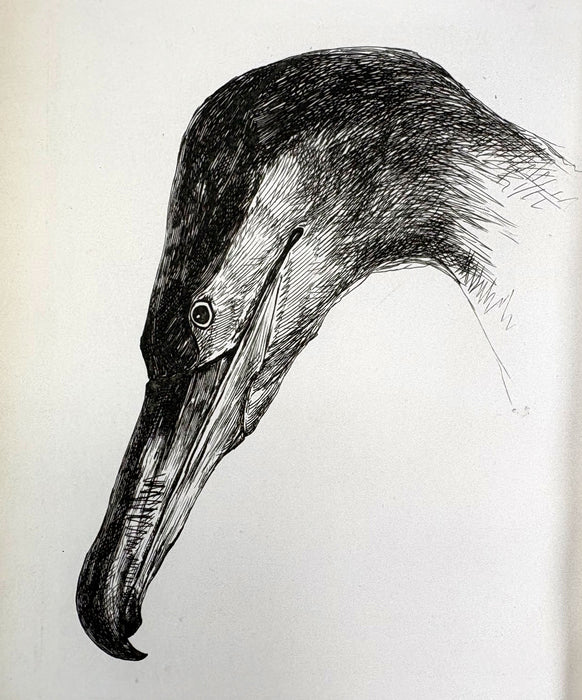 Charles St John's Note Books, 1846-1853, Invererne, Nairn, Elgin, 1901