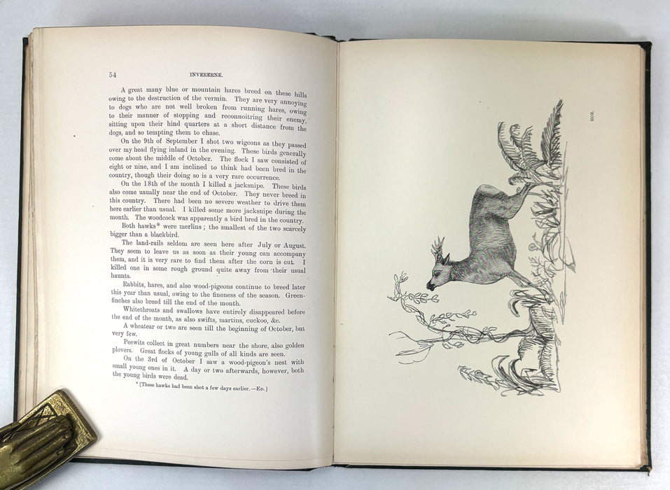 Charles St John's Note Books, 1846-1853, Invererne, Nairn, Elgin, 1901