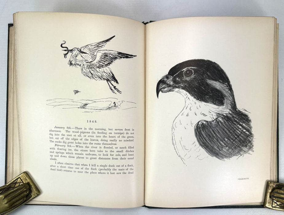 Charles St John's Note Books, 1846-1853, Invererne, Nairn, Elgin, 1901