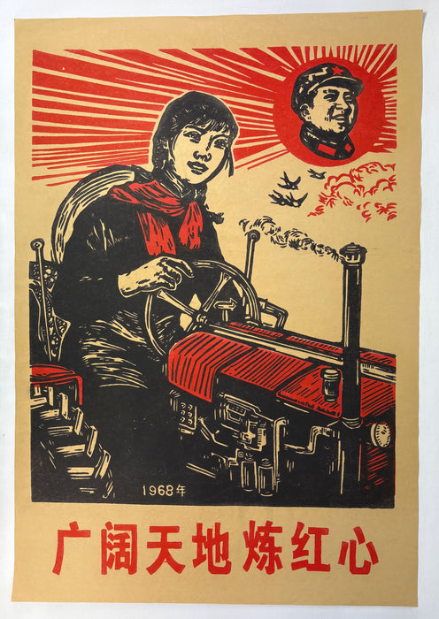 Chinese Cultural Revolution Poster; 广阔天地炼红心 ("In the vast world, forge a red heart")