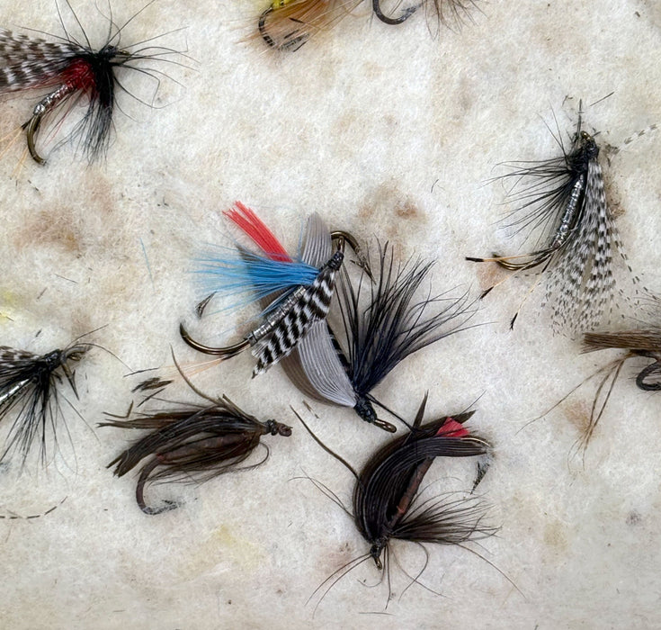Companion to Alfred Ronald's Fly Fisher's Entomology, with fishing flies, with 1862 text
