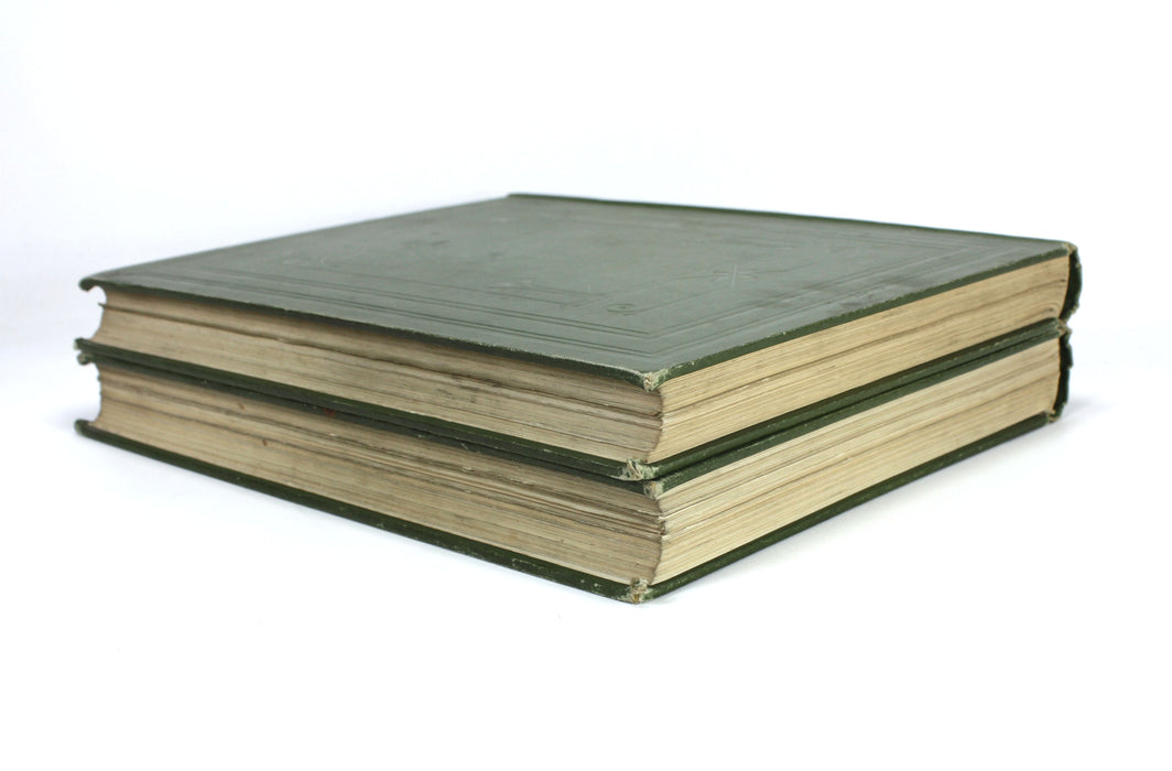 Egypt; Descriptive, Historical, and Picturesque, G. Ebers, 1887, 2 Volume Set