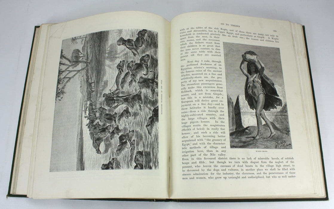 Egypt; Descriptive, Historical, and Picturesque, G. Ebers, 1887, 2 Volume Set
