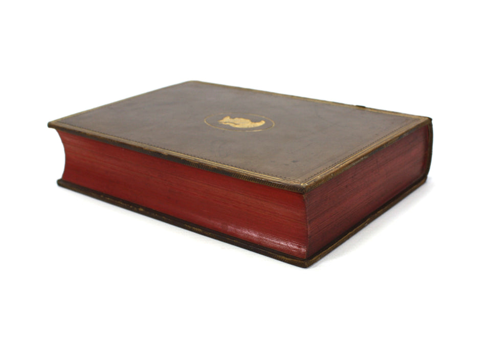 Elementary History of Art; An Introduction to Ancient and Modern Architecture, Sculpture, Painting, Music, N. D'Anvers, 1874