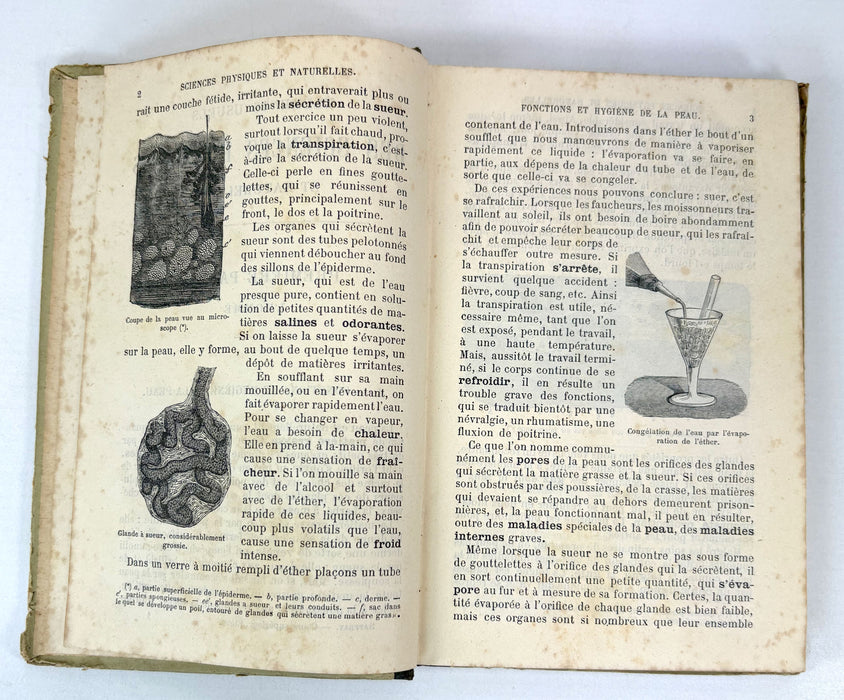 Éléments Usuels des Sciences Physiques et Naturelles. Cours supérieur. Livre de l'élève. Par Le Dr. Saffray, 1884