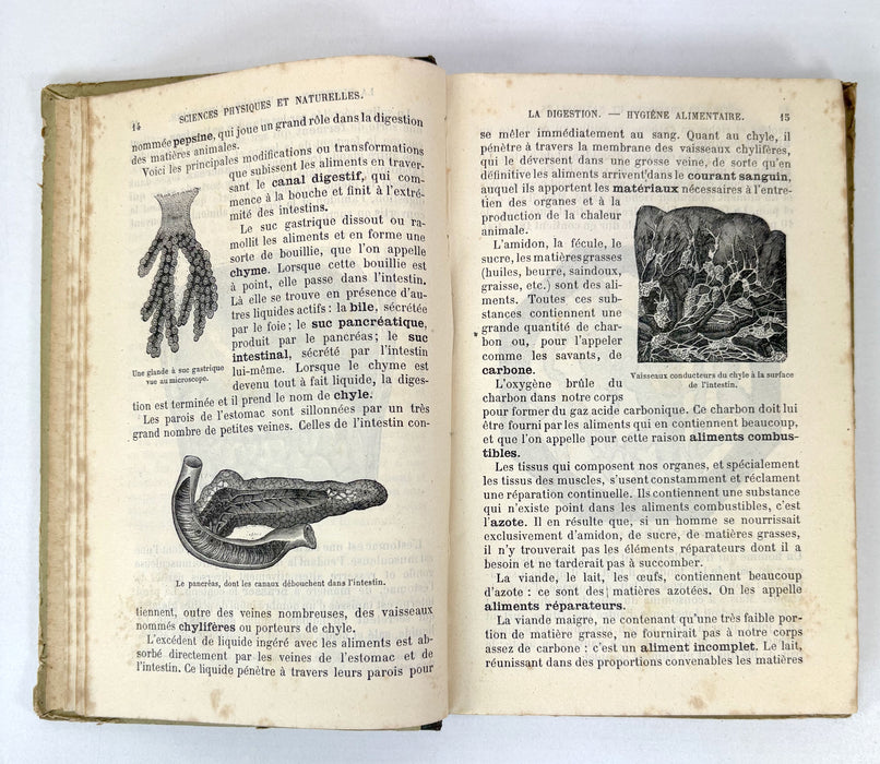 Éléments Usuels des Sciences Physiques et Naturelles. Cours supérieur. Livre de l'élève. Par Le Dr. Saffray, 1884