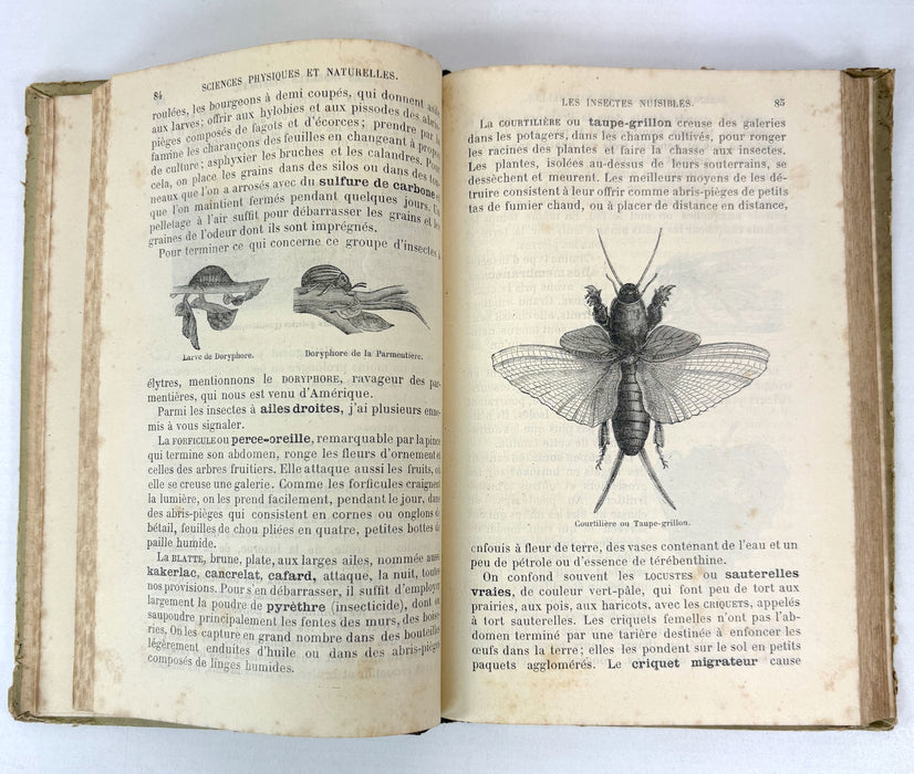Éléments Usuels des Sciences Physiques et Naturelles. Cours supérieur. Livre de l'élève. Par Le Dr. Saffray, 1884