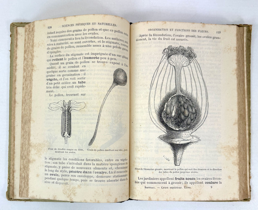 Éléments Usuels des Sciences Physiques et Naturelles. Cours supérieur. Livre de l'élève. Par Le Dr. Saffray, 1884