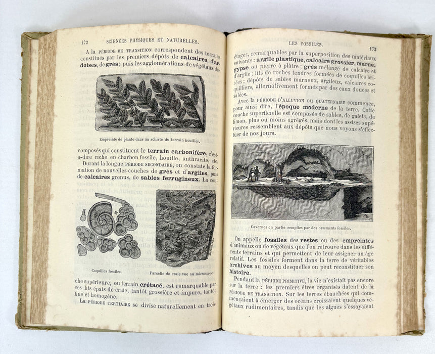 Éléments Usuels des Sciences Physiques et Naturelles. Cours supérieur. Livre de l'élève. Par Le Dr. Saffray, 1884
