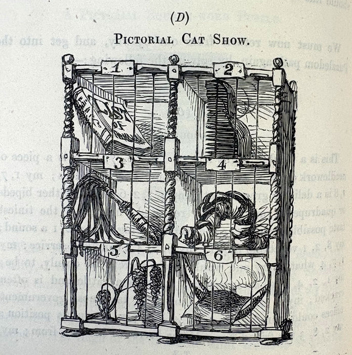 Excursions into Puzzledom; A Book of Charades, Acrostics, Enigmas, Conundrums, by the Late Tom Hood and His Sister, 1879