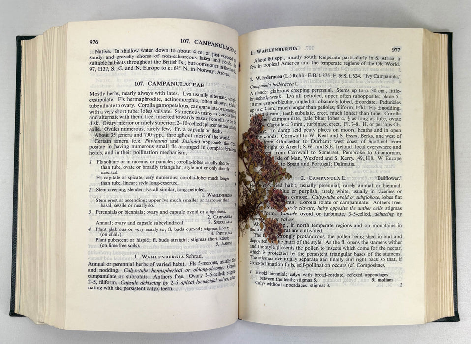 Flora of the British Isles, Clapham, Tutin & Warburg, Cambridge University Press, 1952