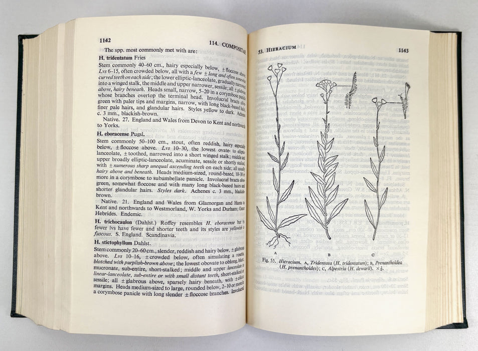 Flora of the British Isles, Clapham, Tutin & Warburg, Cambridge University Press, 1952
