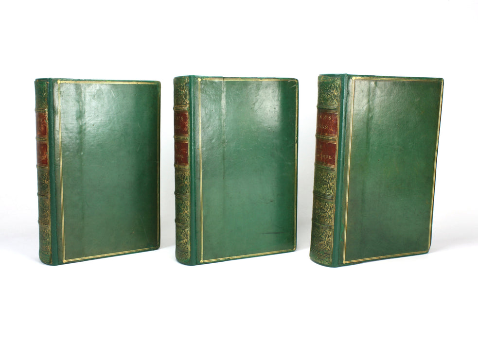 Hone's Works; The Every Day-Book or The Guide to the Year, William Hone, 3 Volumes