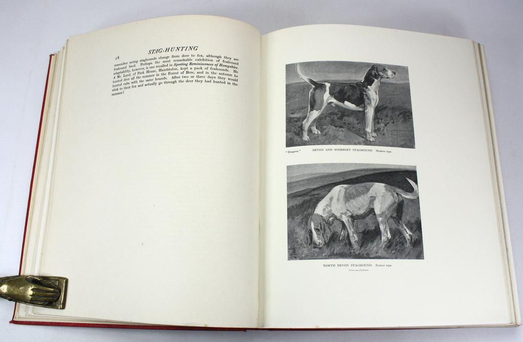 Hunting & Stalking The Deer; The Pursuit of Red, Fallow and Roe Deer in England and Scotland, Lionel Edwards and Harold Frank Wallace, Signed, Limited edition, 1927