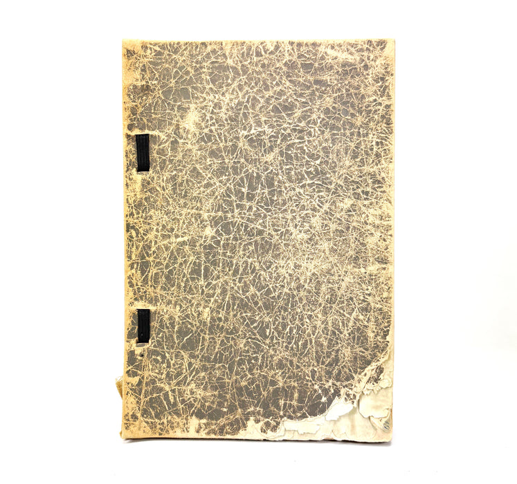 Kyuroku-kai Nanga Exhibition Catalogue, Kobe 1930 (Showa 5) — Tomie Unrei and Circle; 九六會南畫展出品畫