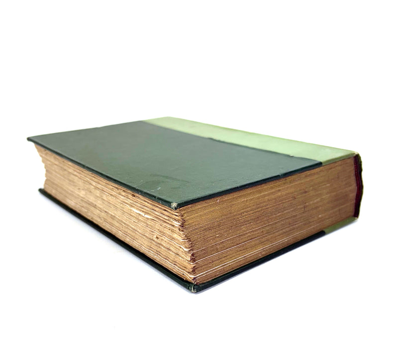 Letters of Edward Lear to Chichester Fortescue and Frances Countess Waldegrave, edited by Lady Strachey, Illustrated, 1907